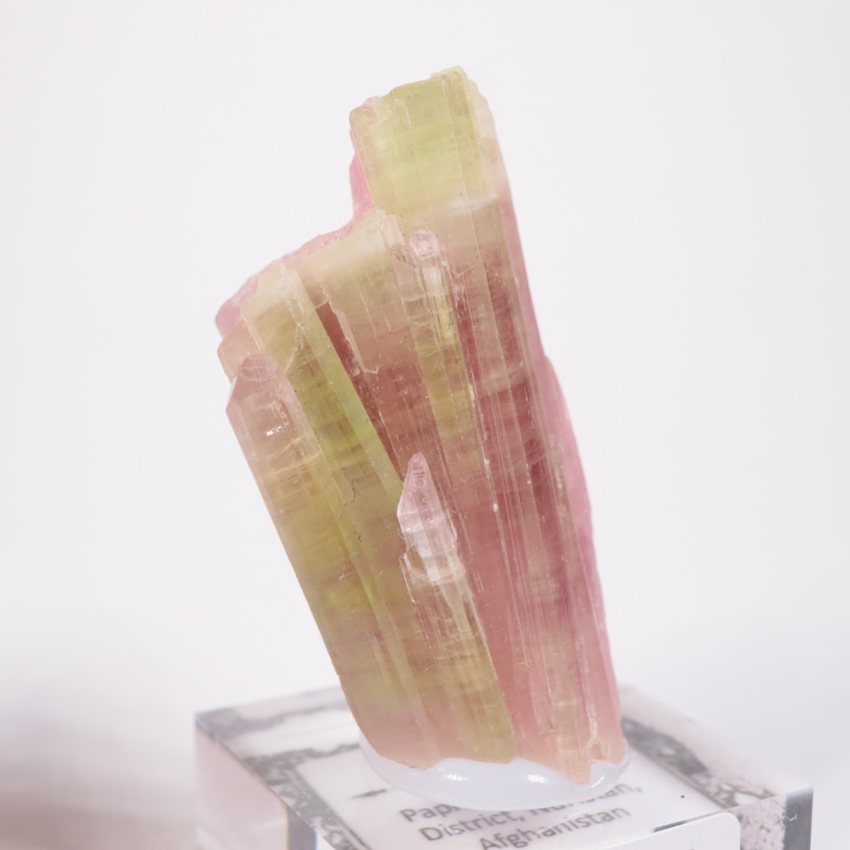 ���ե��˥����� �ȥ�ޥ��