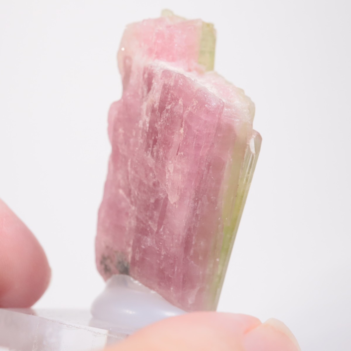 ���ե��˥����� �ȥ�ޥ��