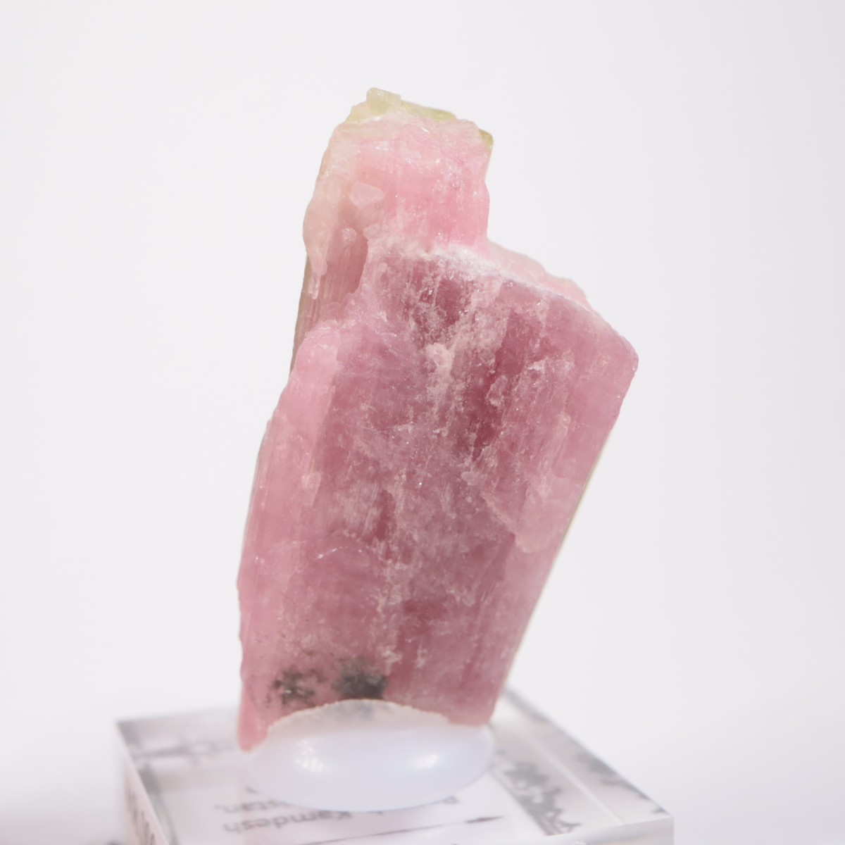 ���ե��˥����� �ȥ�ޥ��