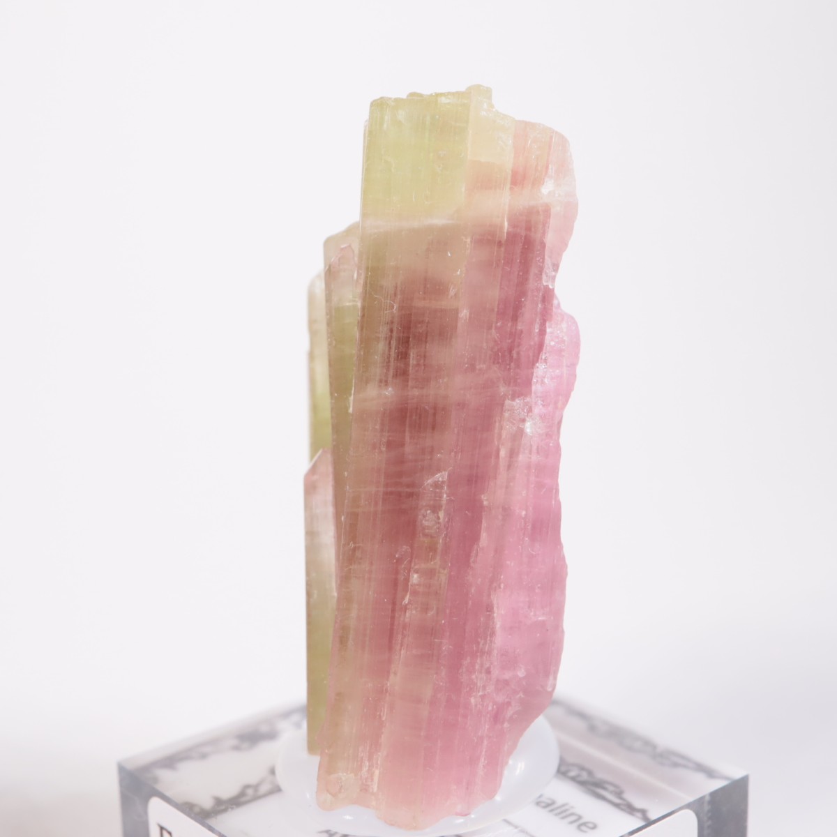 ���ե��˥����� �ȥ�ޥ��