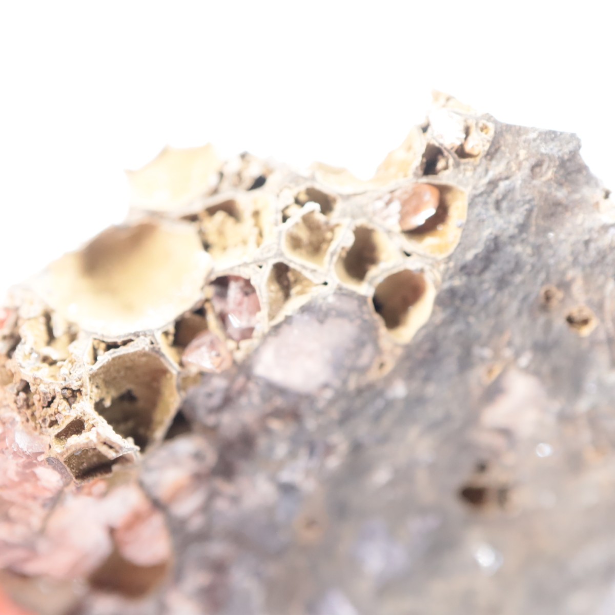 �ᥭ������ �����ɥ���������