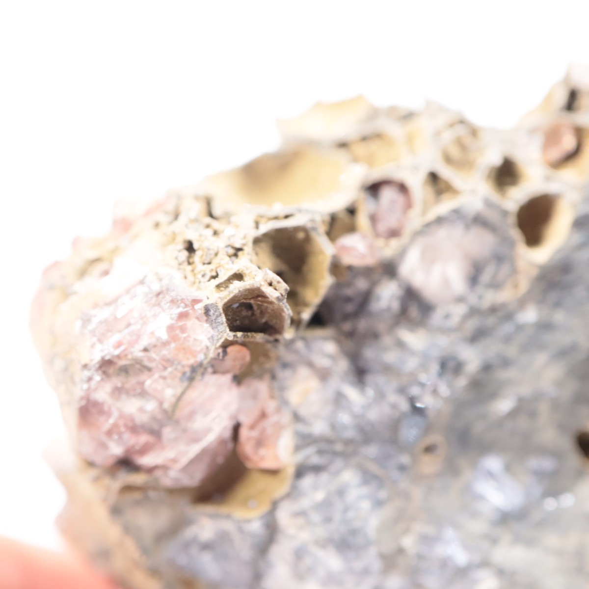 �ᥭ������ �����ɥ���������