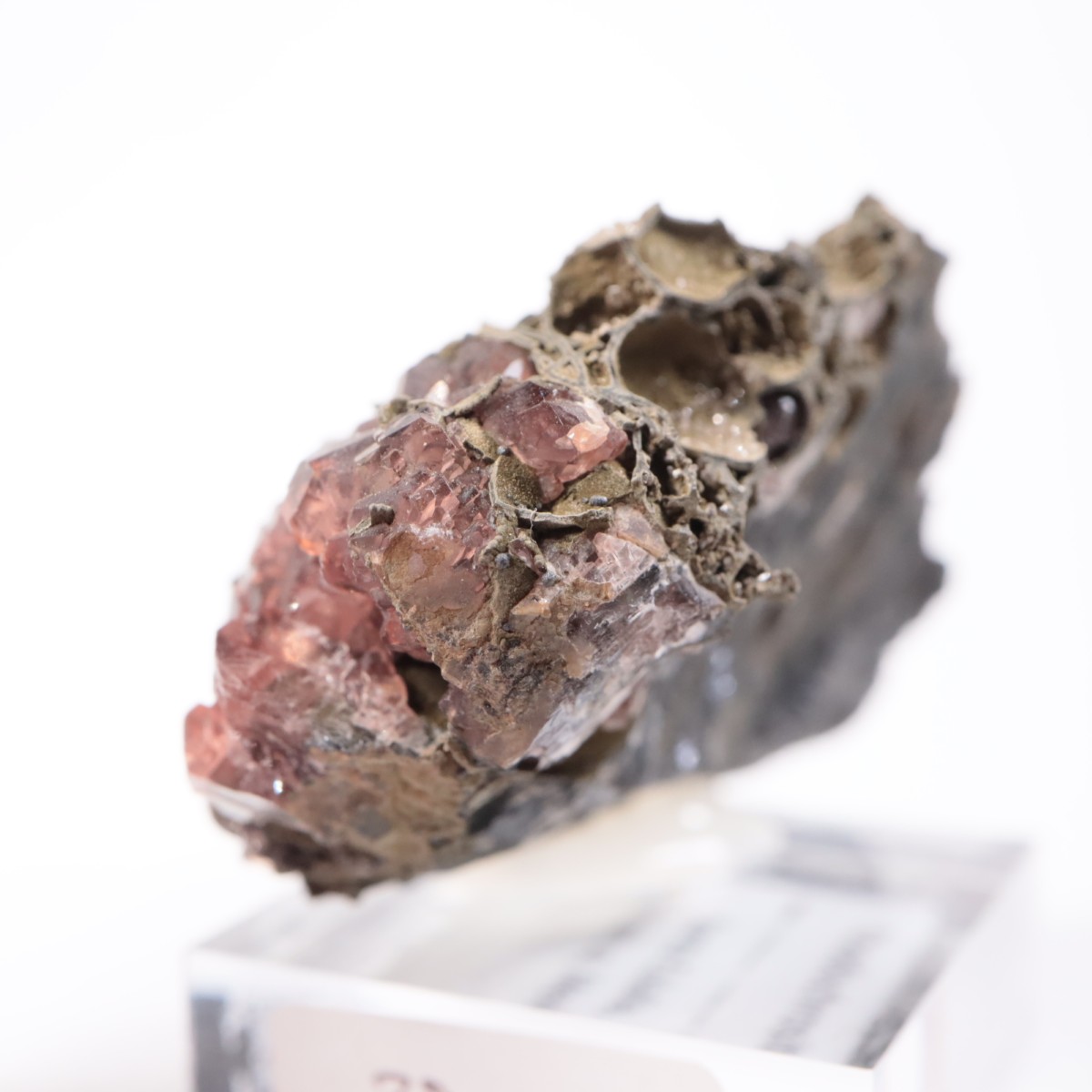 �ᥭ������ �����ɥ���������