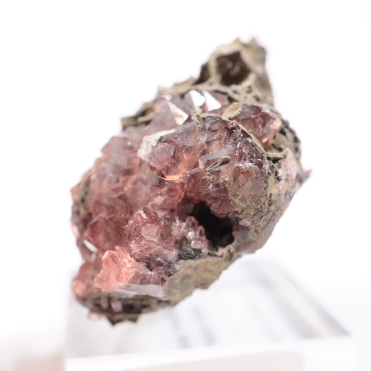 �ᥭ������ �����ɥ���������