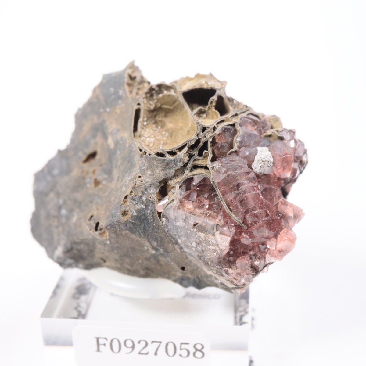 �ᥭ������ �����ɥ���������