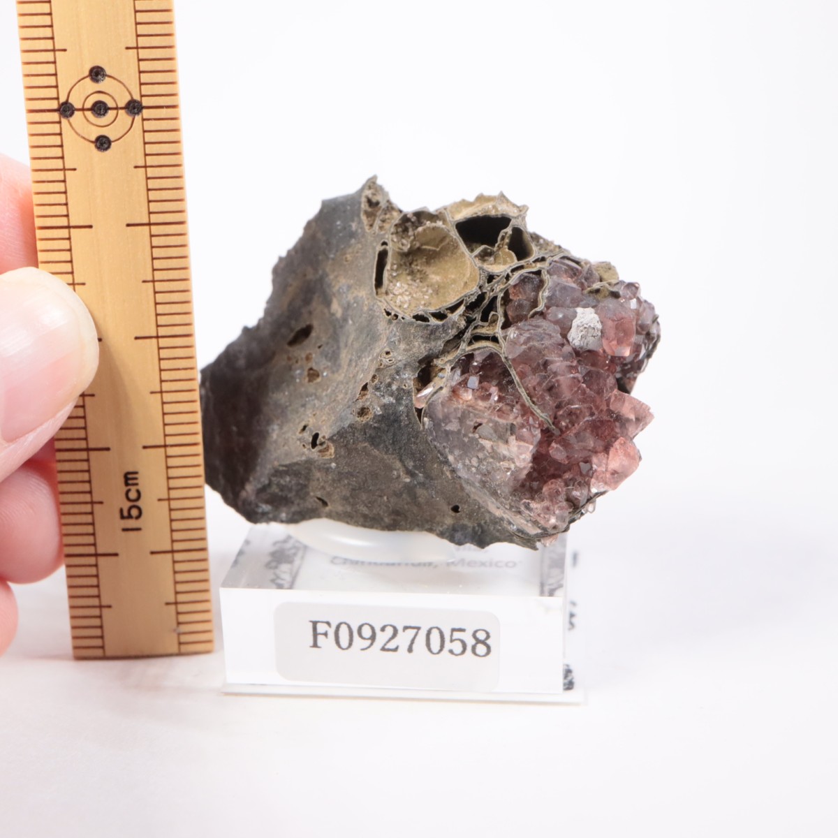 �ᥭ������ �����ɥ���������