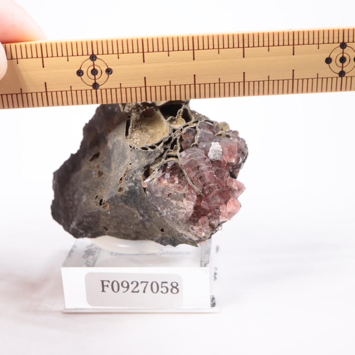 �ᥭ������ �����ɥ���������