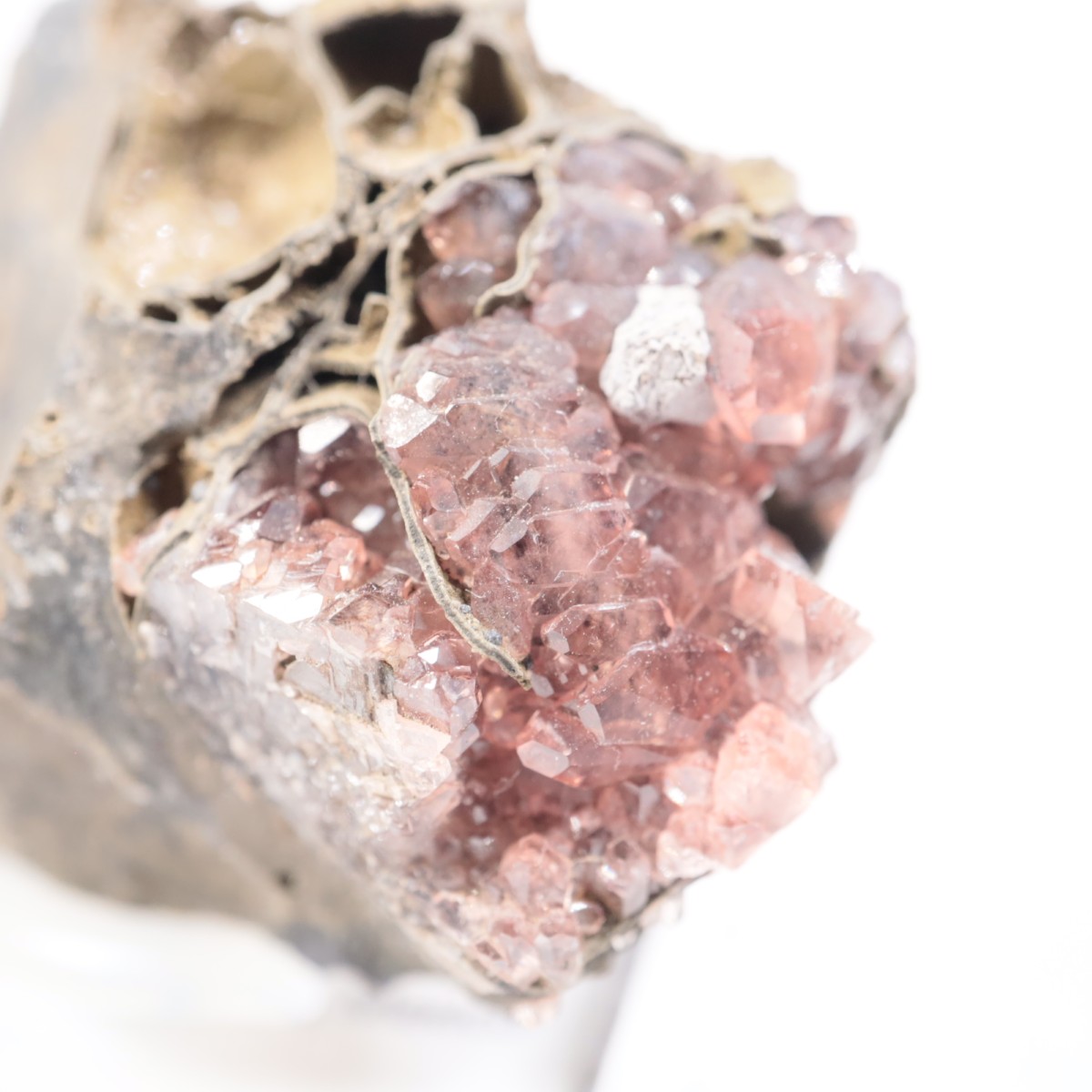 �ᥭ������ �����ɥ���������