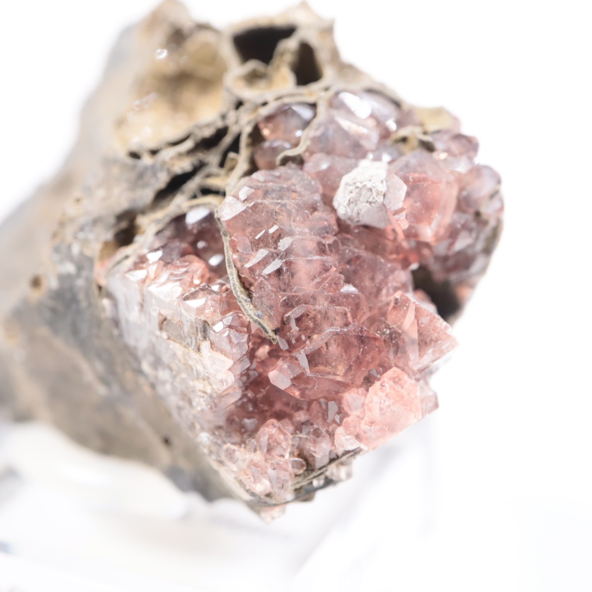 �ᥭ������ �����ɥ���������