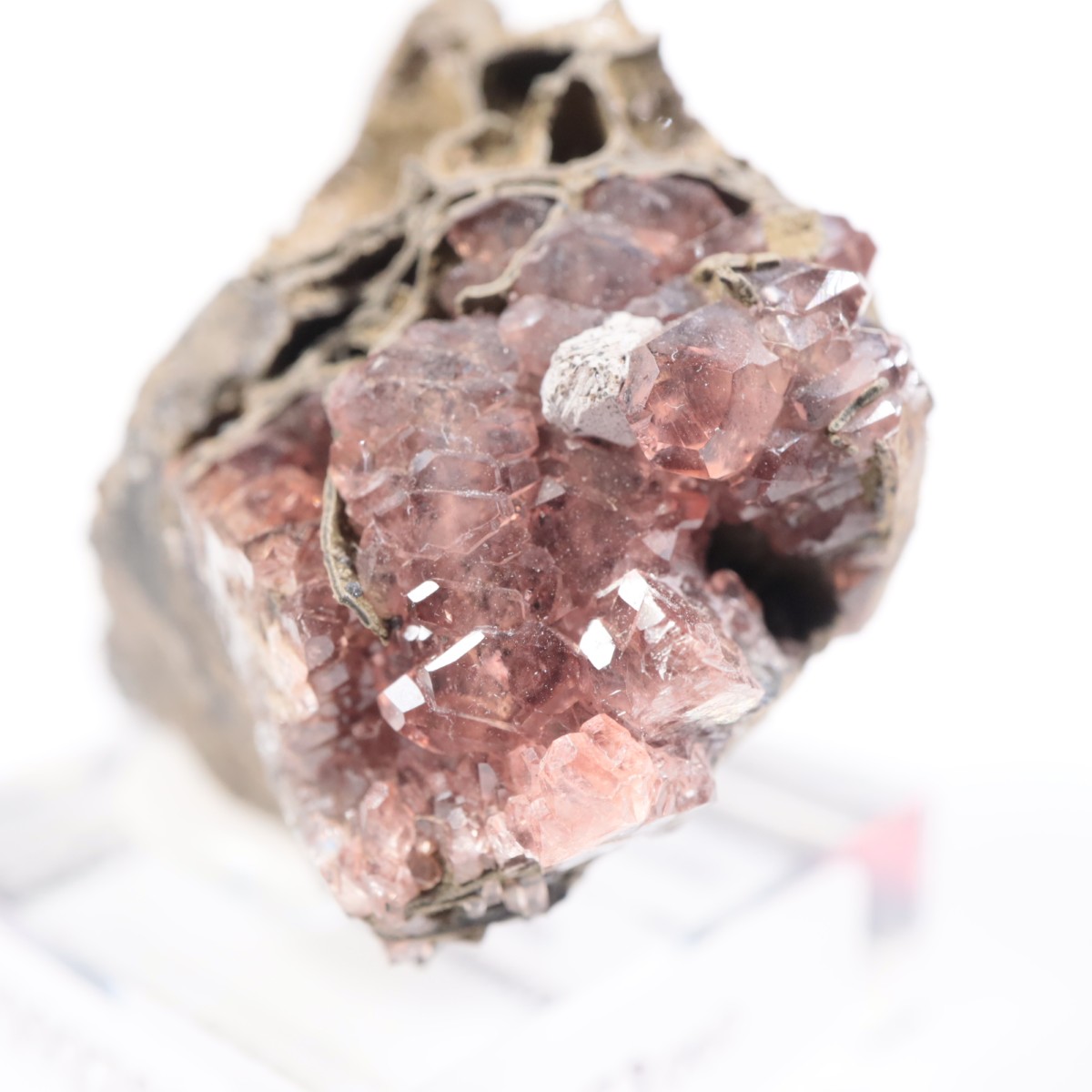 �ᥭ������ �����ɥ���������