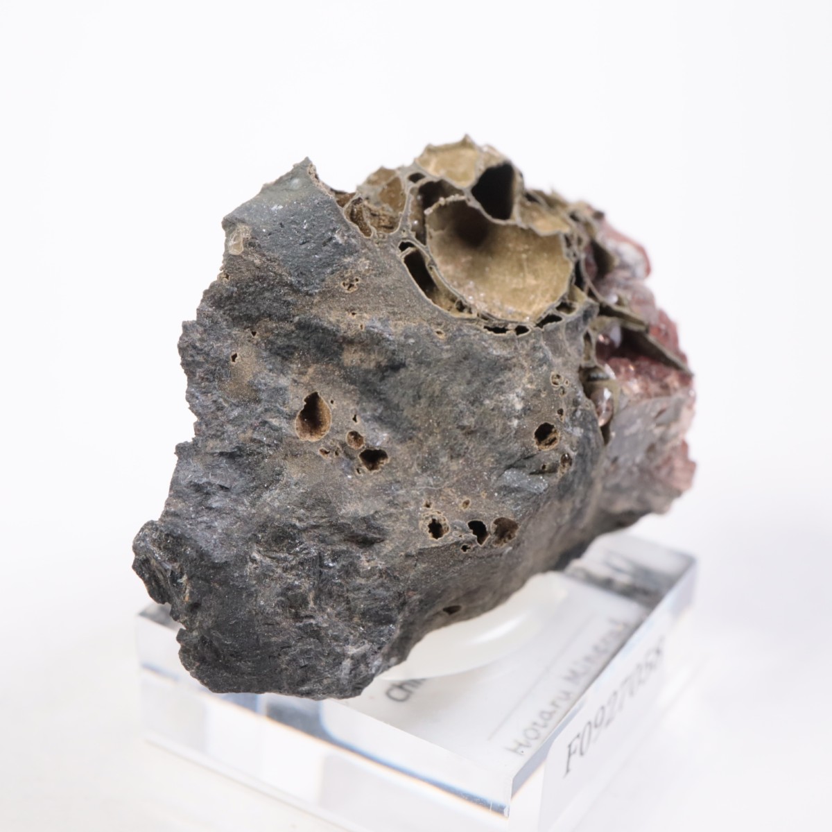 �ᥭ������ �����ɥ���������