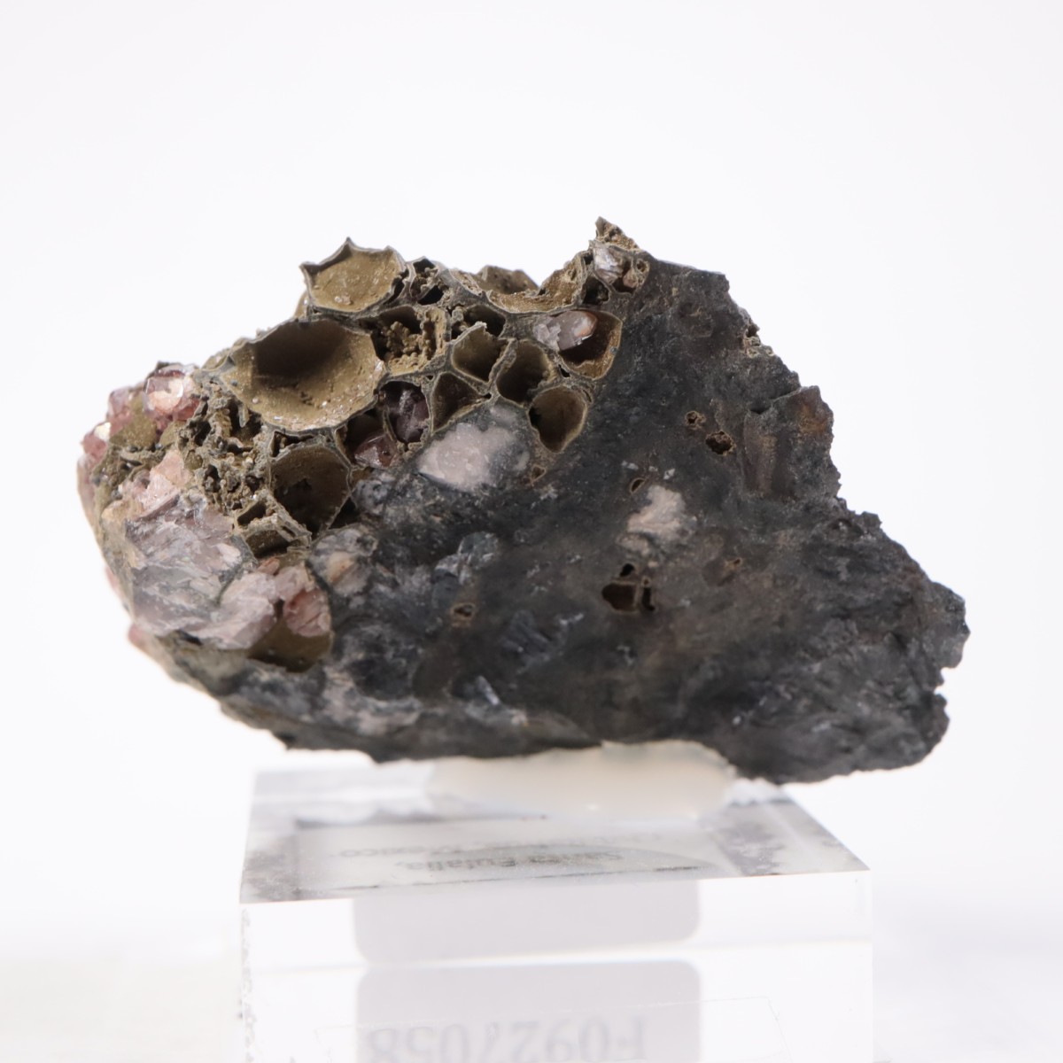 �ᥭ������ �����ɥ���������