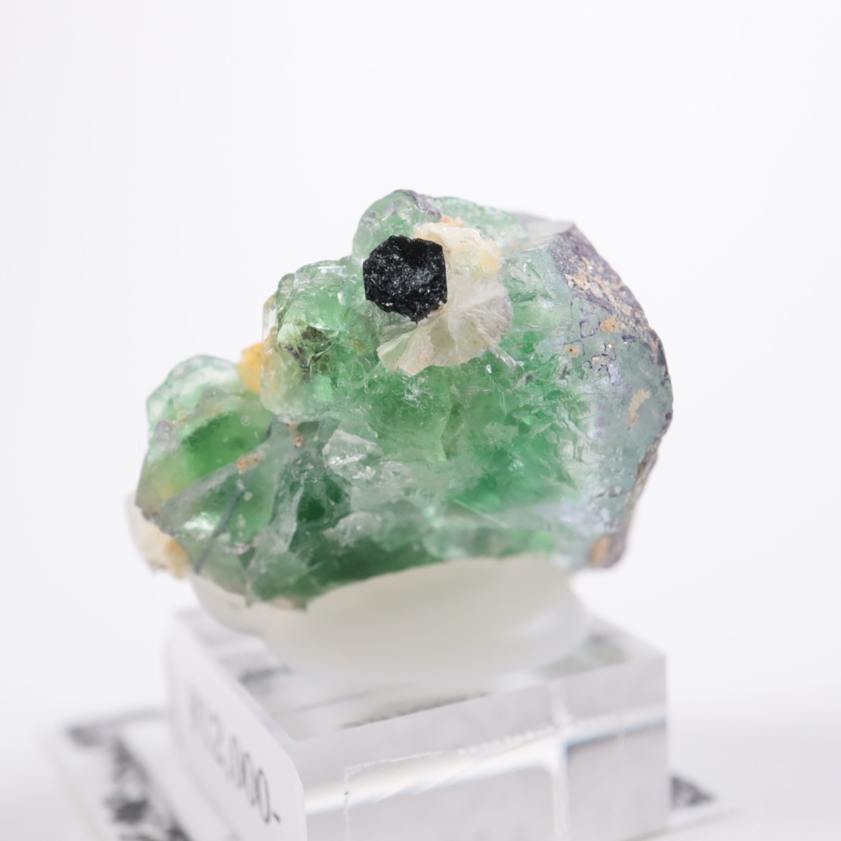 �����󥴹ۻ��� �ե����饤��