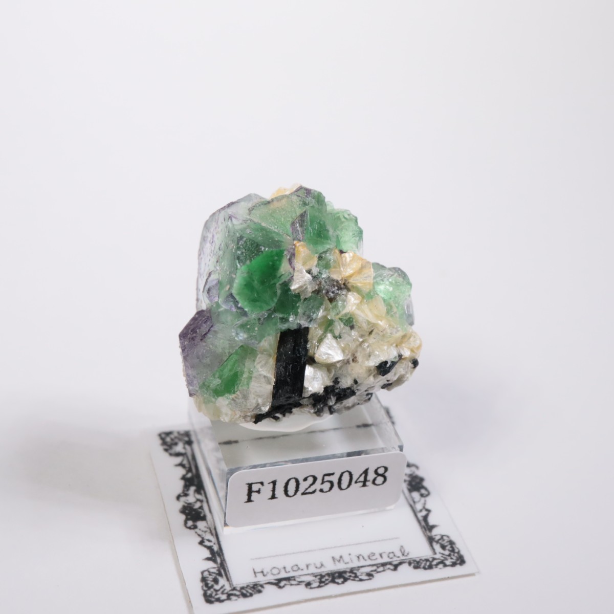 �����󥴹ۻ��� �ե����饤��