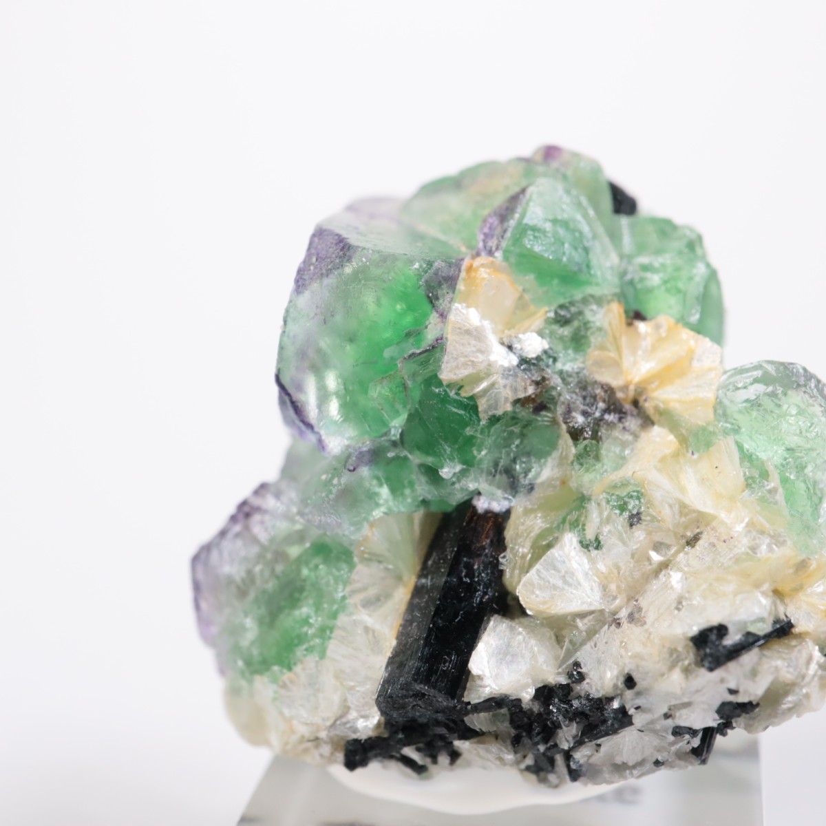 �����󥴹ۻ��� �ե����饤��