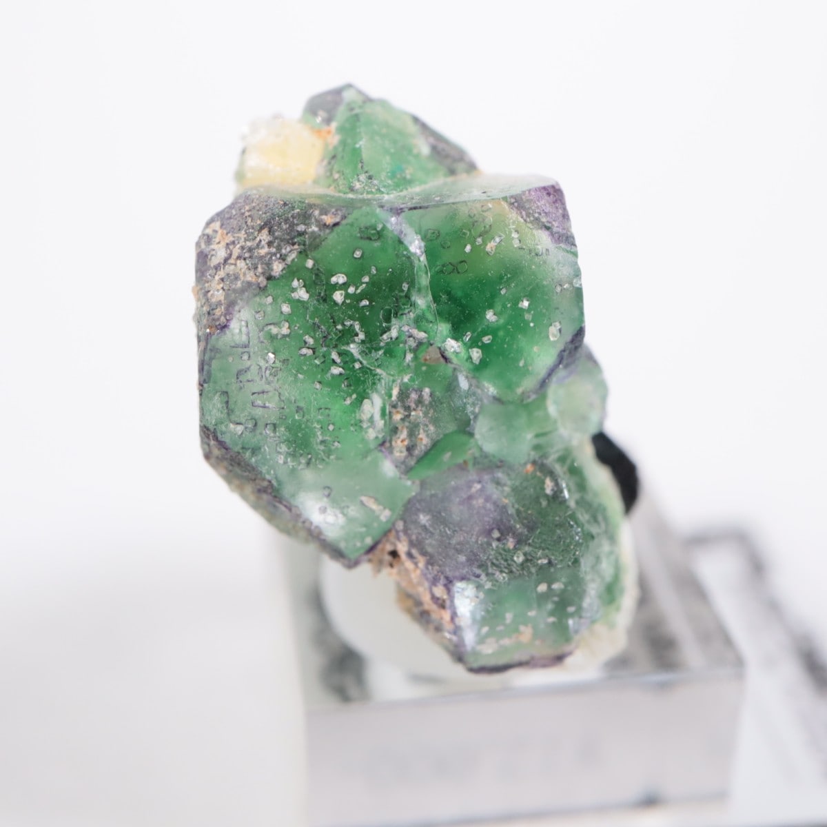 �����󥴹ۻ��� �ե����饤��