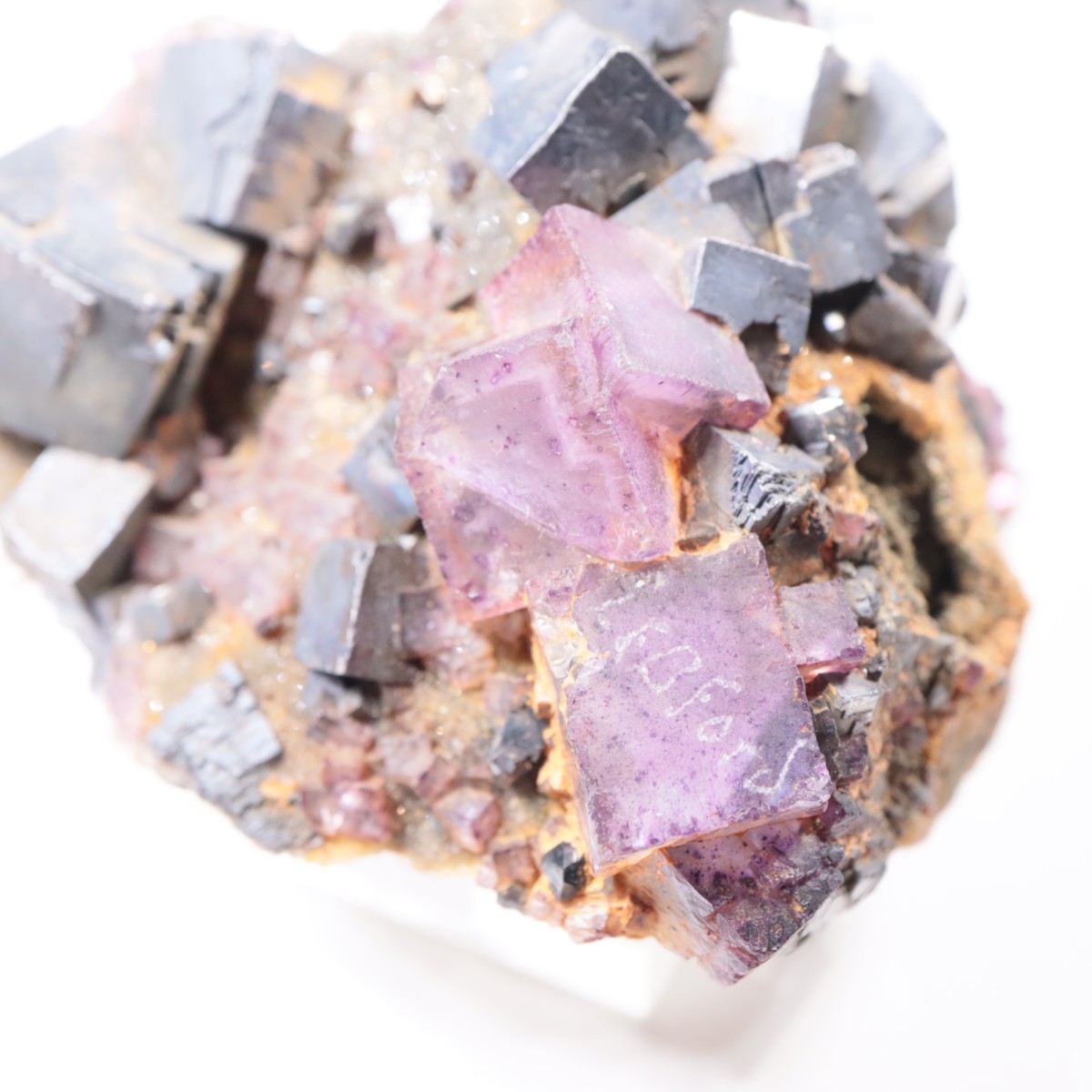 ����Υ���Hill-Ledford�ۻ� �ե����饤�ȡ������