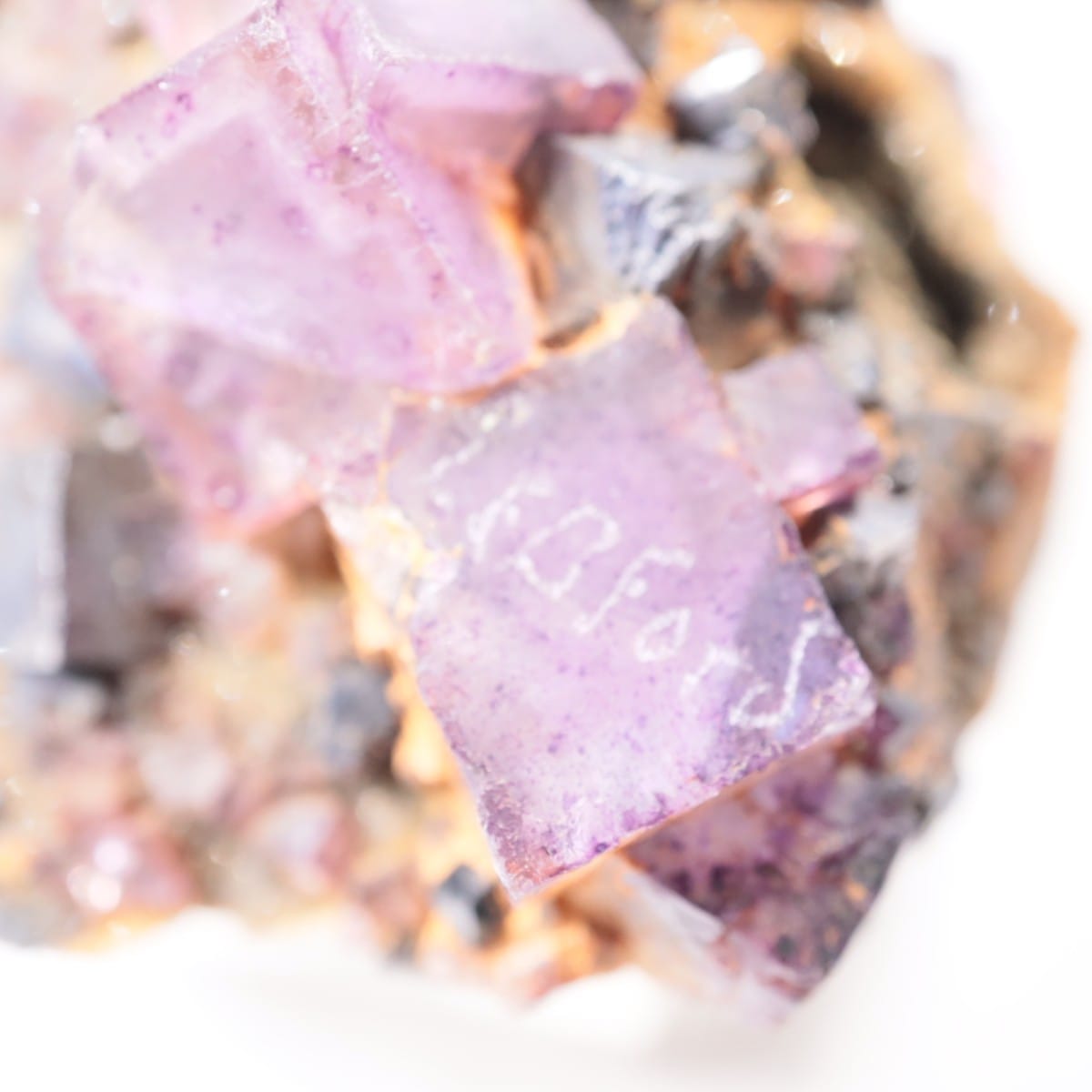 ����Υ���Hill-Ledford�ۻ� �ե����饤�ȡ������