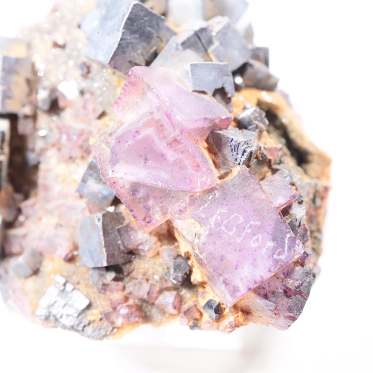 ����Υ���Hill-Ledford�ۻ� �ե����饤�ȡ������