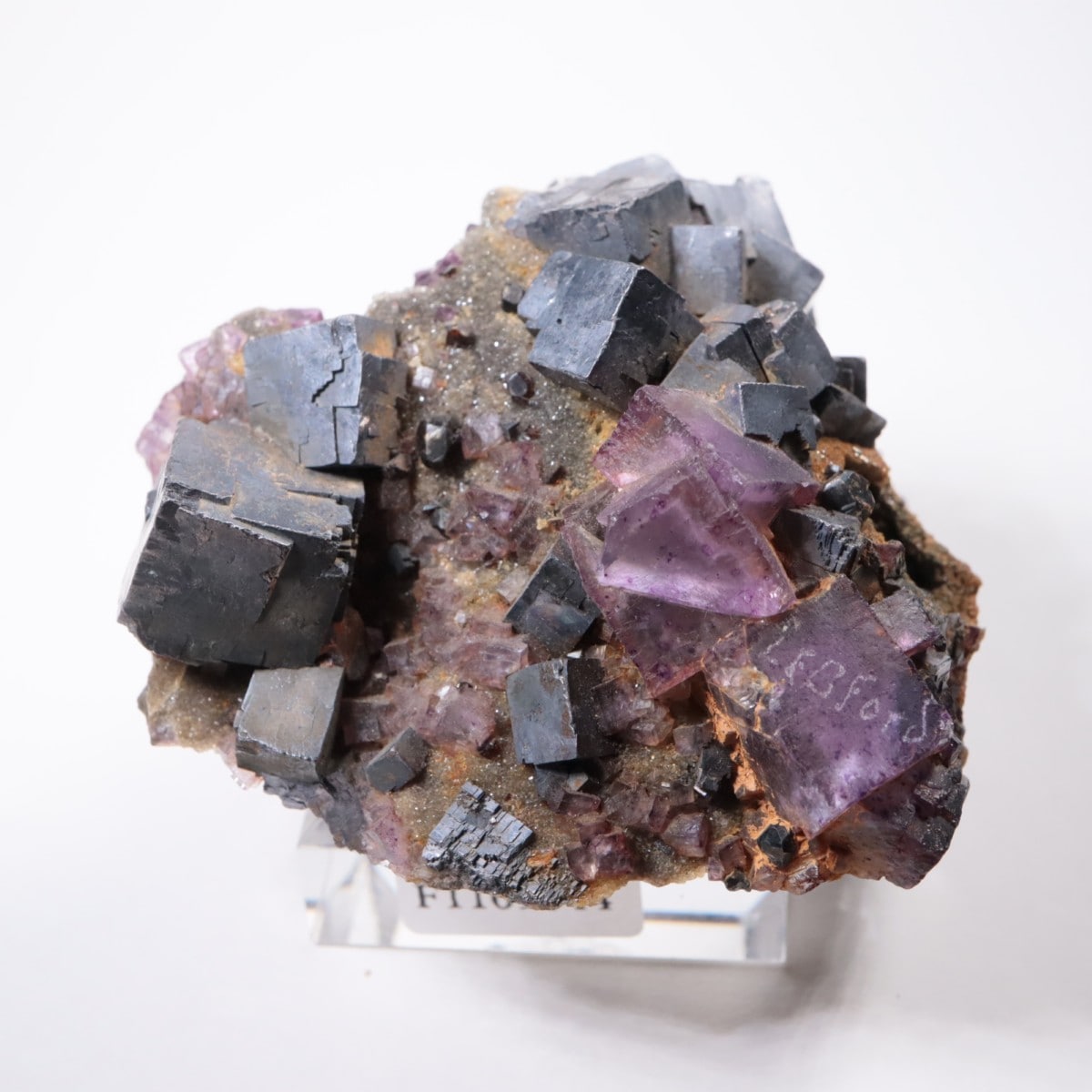 ����Υ���Hill-Ledford�ۻ� �ե����饤�ȡ������