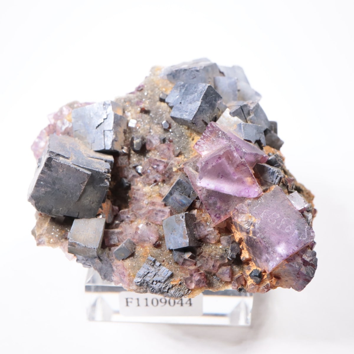 ����Υ���Hill-Ledford�ۻ� �ե����饤�ȡ������