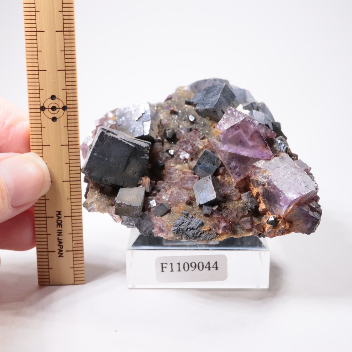 ����Υ���Hill-Ledford�ۻ� �ե����饤�ȡ������