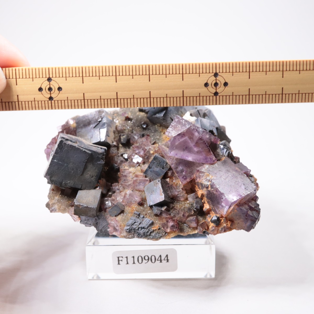 ����Υ���Hill-Ledford�ۻ� �ե����饤�ȡ������