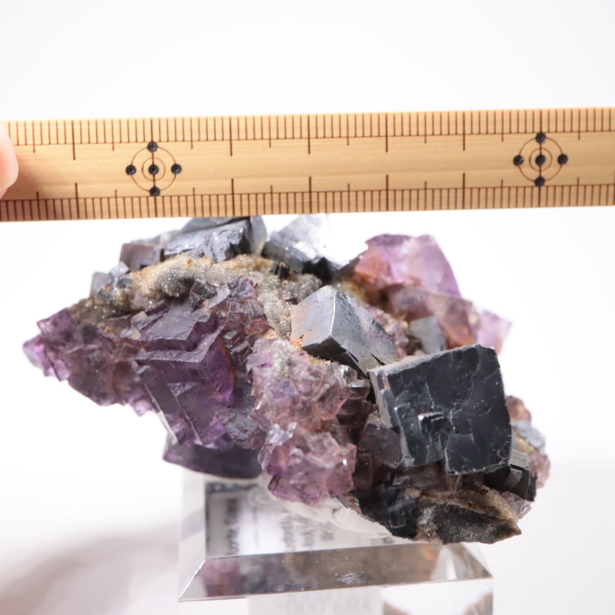 ����Υ���Hill-Ledford�ۻ� �ե����饤�ȡ������