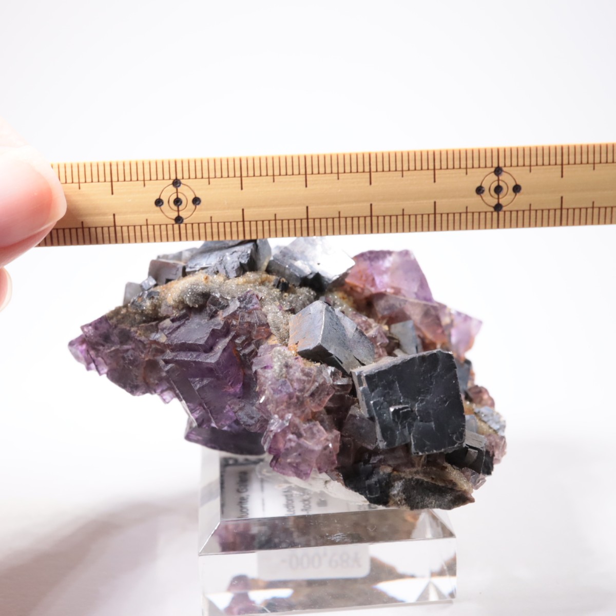 ����Υ���Hill-Ledford�ۻ� �ե����饤�ȡ������