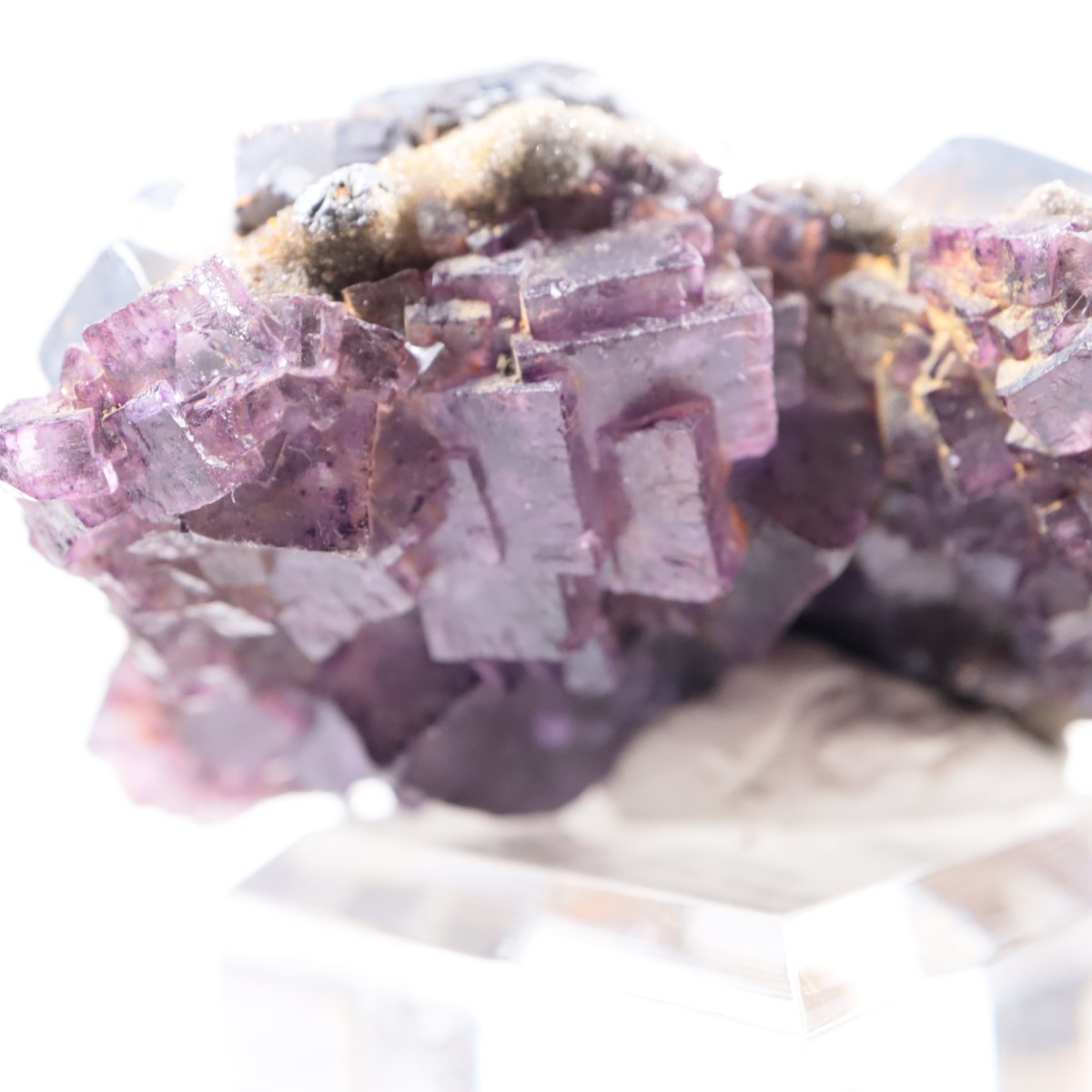 ����Υ���Hill-Ledford�ۻ� �ե����饤�ȡ������