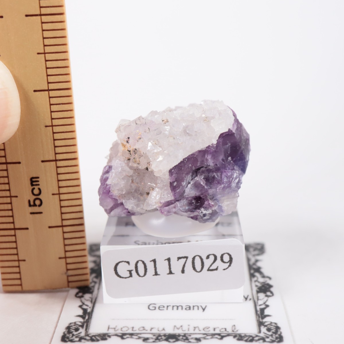 ドイツ鉱山産 フローライト、クォーツ | 鉱物標本,ハ行,フローライト