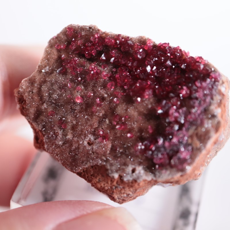 ����å����������饤��