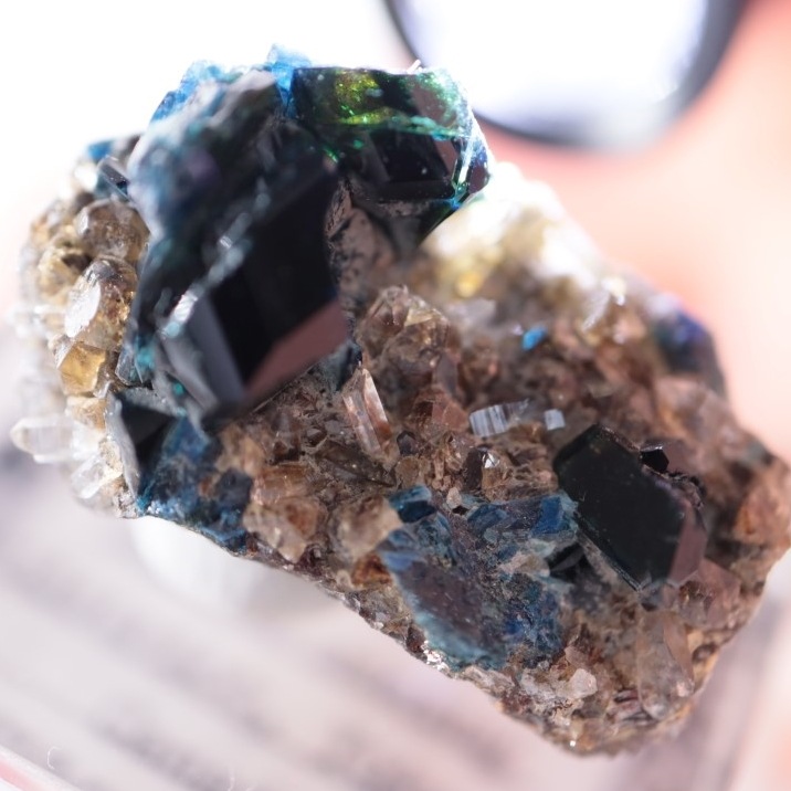 ���ʥ�����ŷ���Сʥ饺�饤�ȡ�