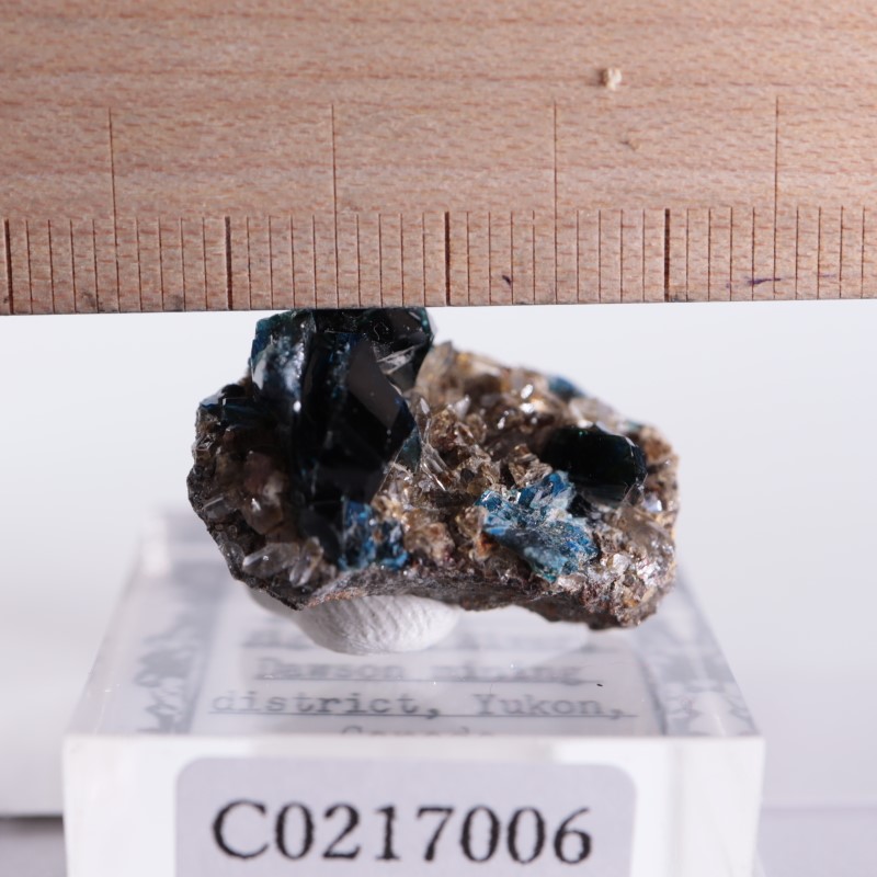 ���ʥ�����ŷ���Сʥ饺�饤�ȡ�