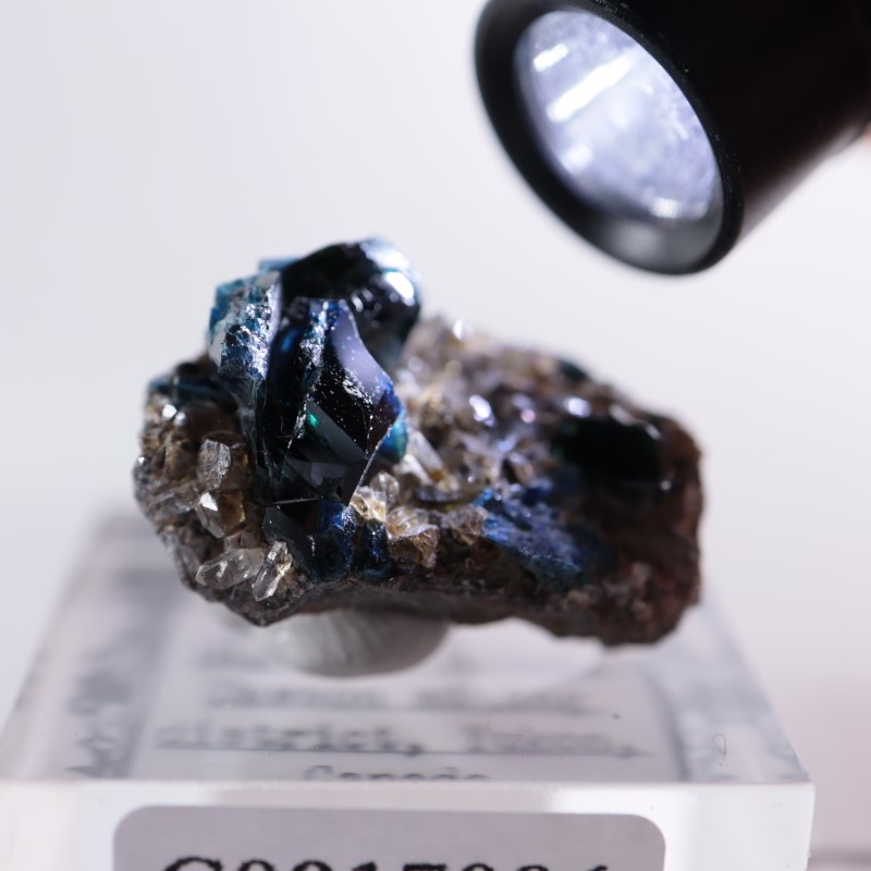 ���ʥ�����ŷ���Сʥ饺�饤�ȡ�