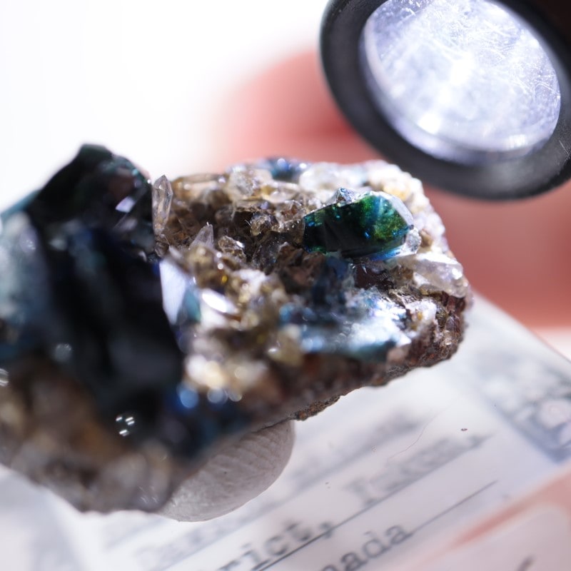 ���ʥ�����ŷ���Сʥ饺�饤�ȡ�