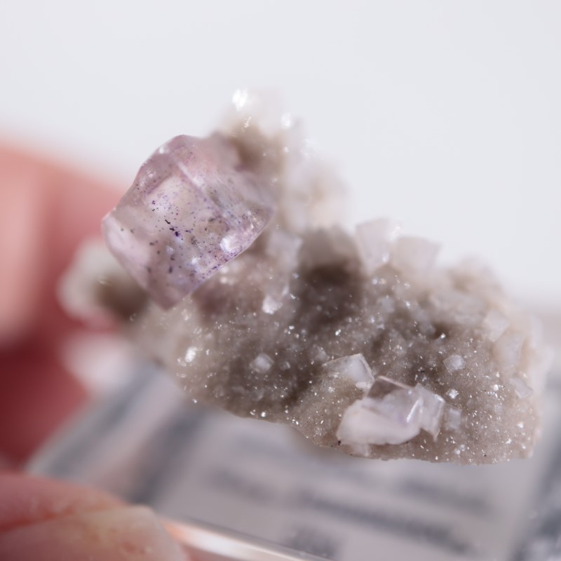 エルムウッド鉱山 蛍石、ドロマイト | 鉱物標本,ハ行,フローライト/蛍