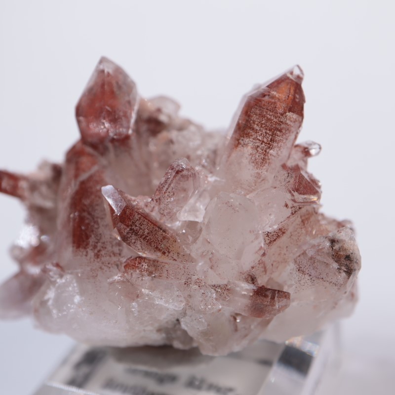 7_000000005025.jpg?1679138466