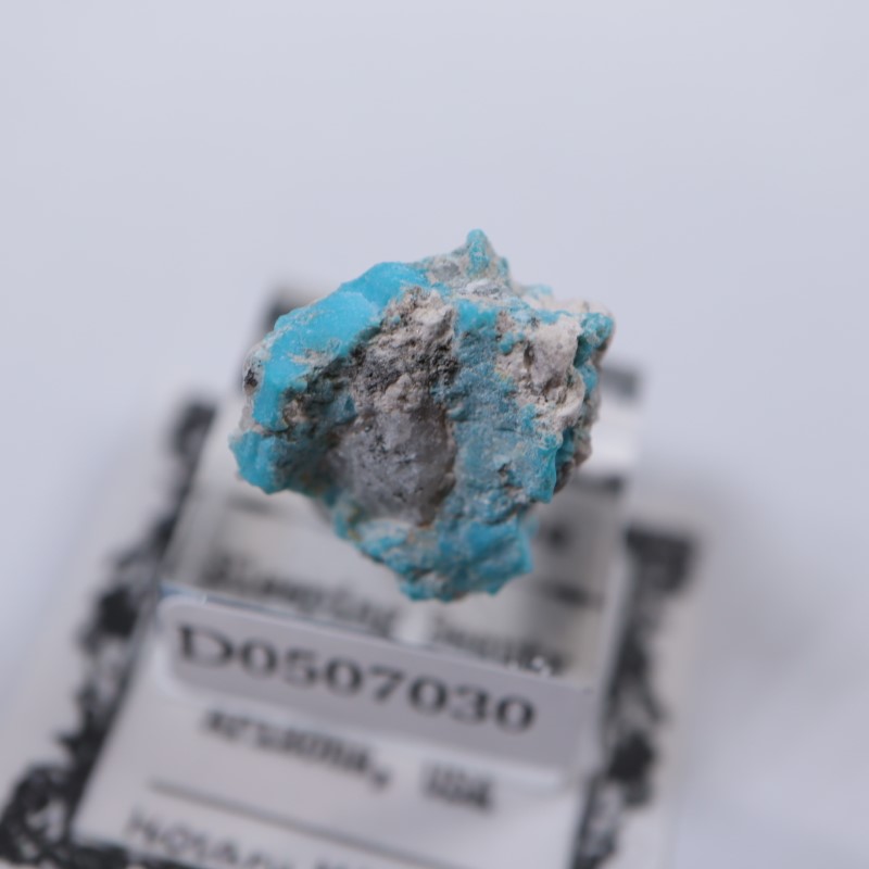スリーピングビューティー鉱山 ターコイズ | 鉱物標本,タ行