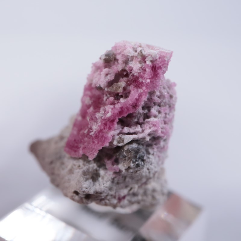 Ruby Violet Claim������åɥ٥��