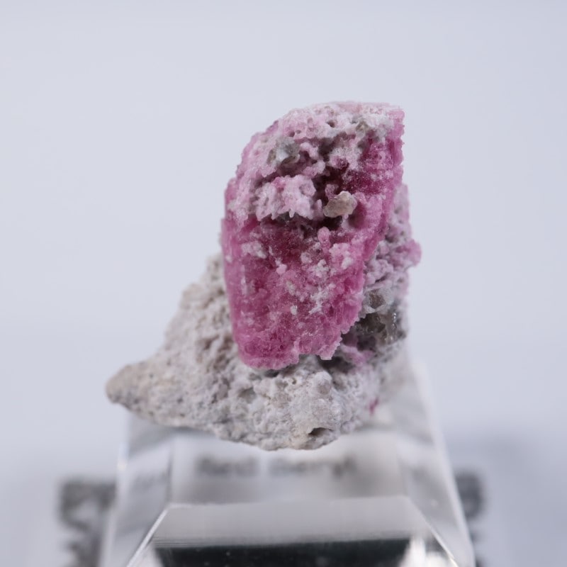 Ruby Violet Claim������åɥ٥��