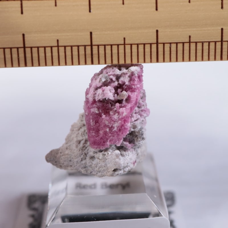 Ruby Violet Claim������åɥ٥��