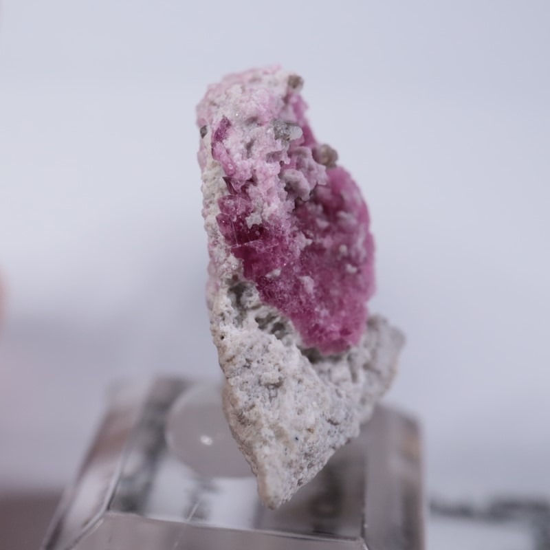 Ruby Violet Claim������åɥ٥��