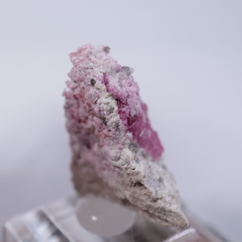 Ruby Violet Claim������åɥ٥��