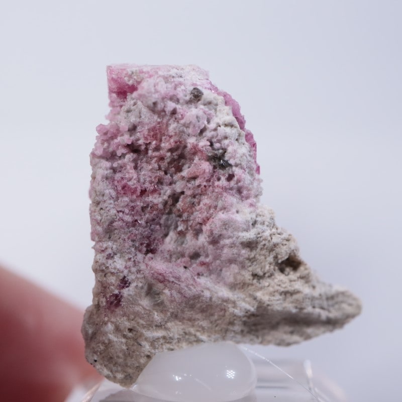 Ruby Violet Claim������åɥ٥��