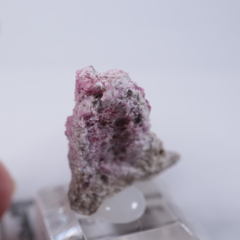 Ruby Violet Claim������åɥ٥��