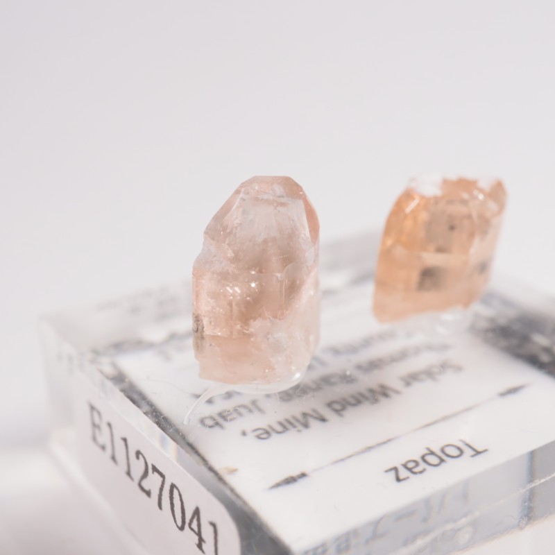 �楿���� �ȥѡ����࿧���ܥ��å�