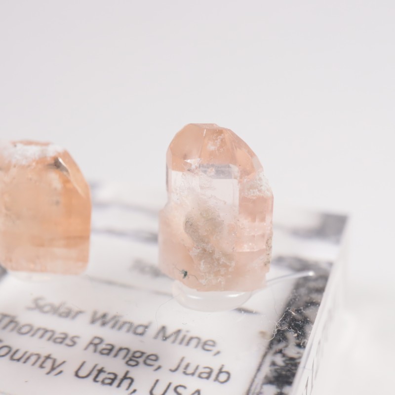 �楿���� �ȥѡ����࿧���ܥ��å�