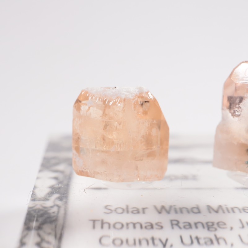 �楿���� �ȥѡ����࿧���ܥ��å�