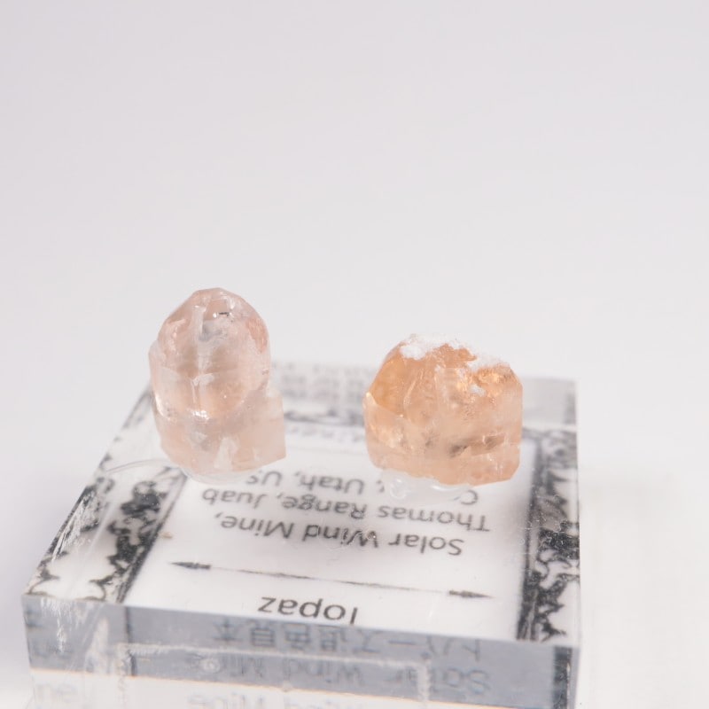 �楿���� �ȥѡ����࿧���ܥ��å�